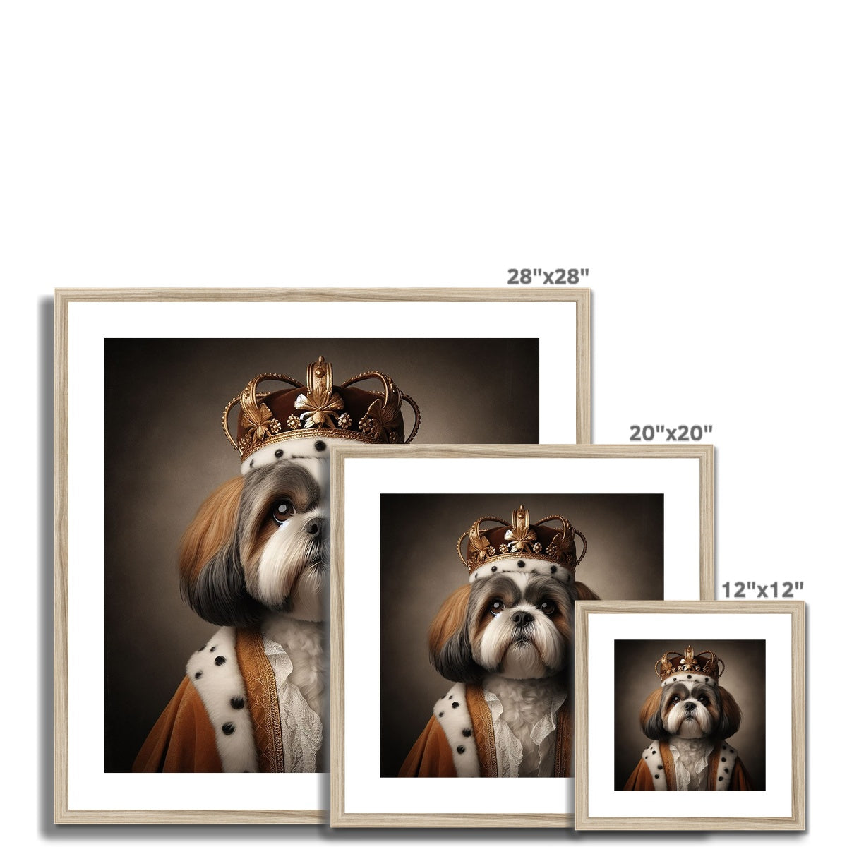 Shi Tzu Royal 1 Framed & Mounted Print