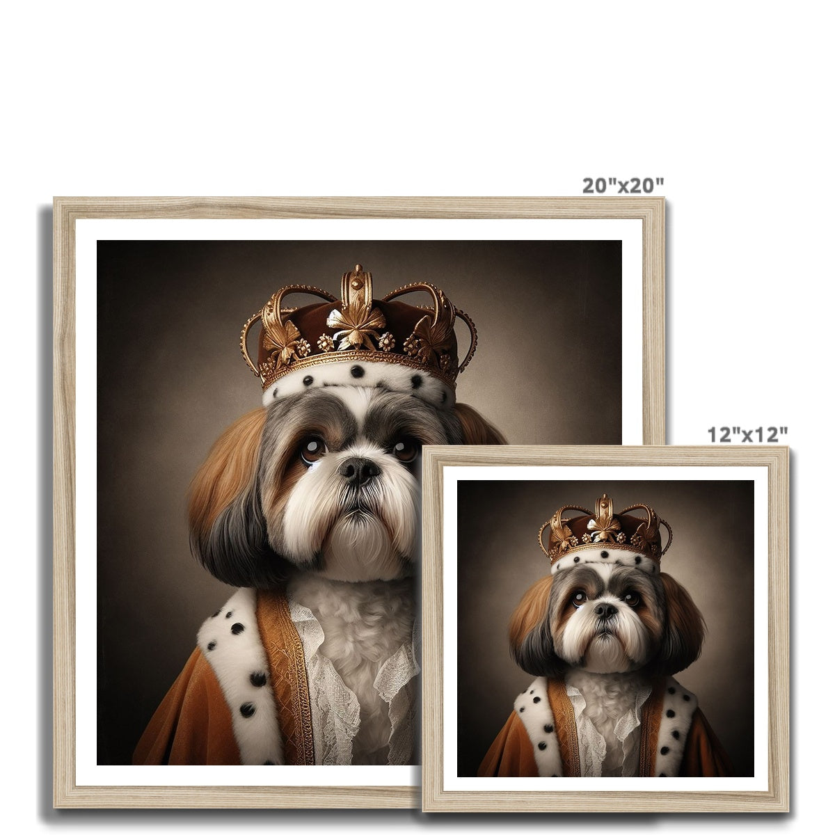 Shi Tzu Royal 1 Budget Framed Poster