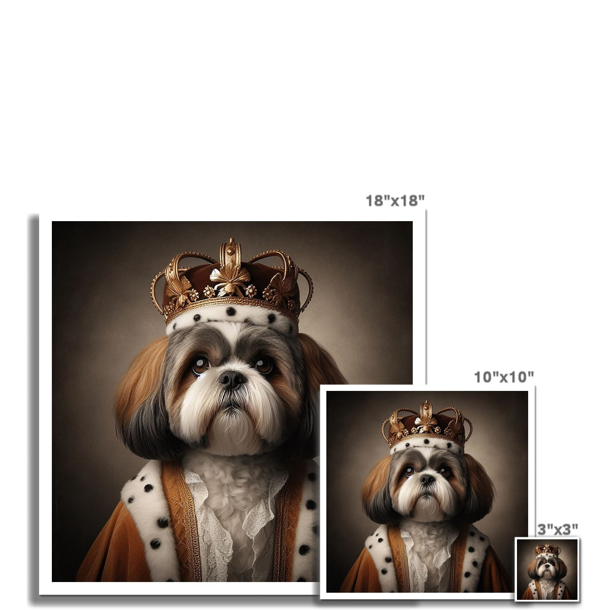 Shi Tzu Royal 1 C-Type Print